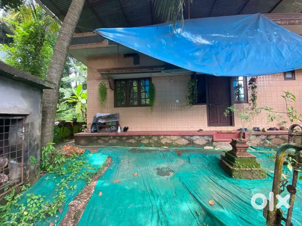 Prime Commercial Property in Kasaragod: Independent House.