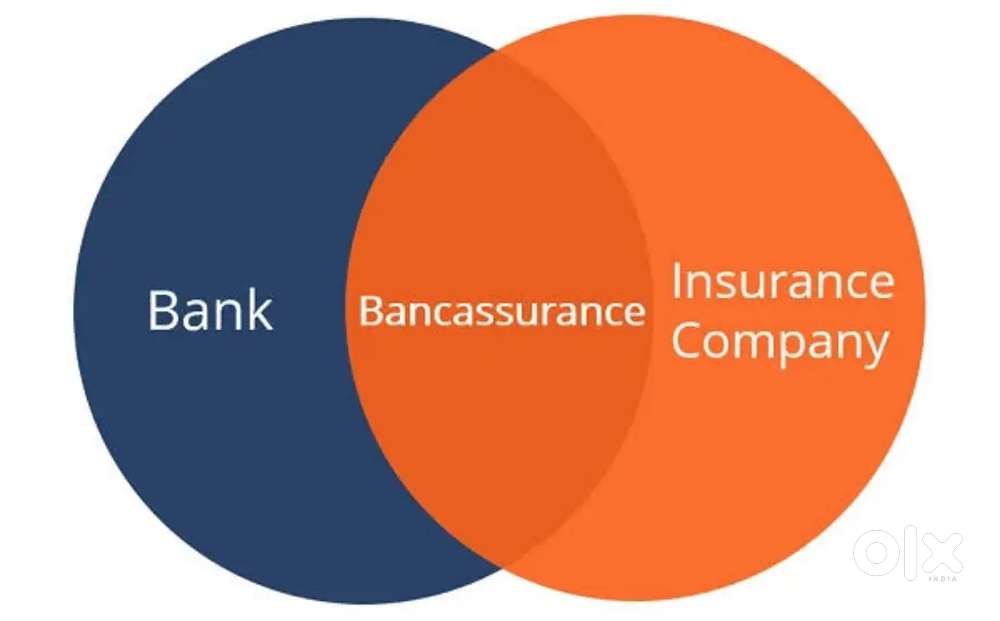 Udupi/Health insurance/Manipal Cigna - Bancassurance-Ctc 2.5 Lpa