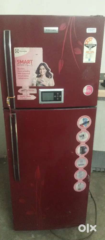 Dual door refrigerator