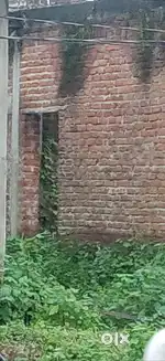 Shyampura opp school