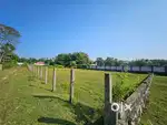 3.5 Bighas Prime Land for Sale in Rampur-Boundary marked & Road Access