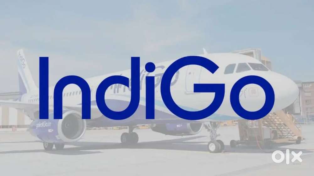 Jobs in indigo Airlines urgent hiring apply