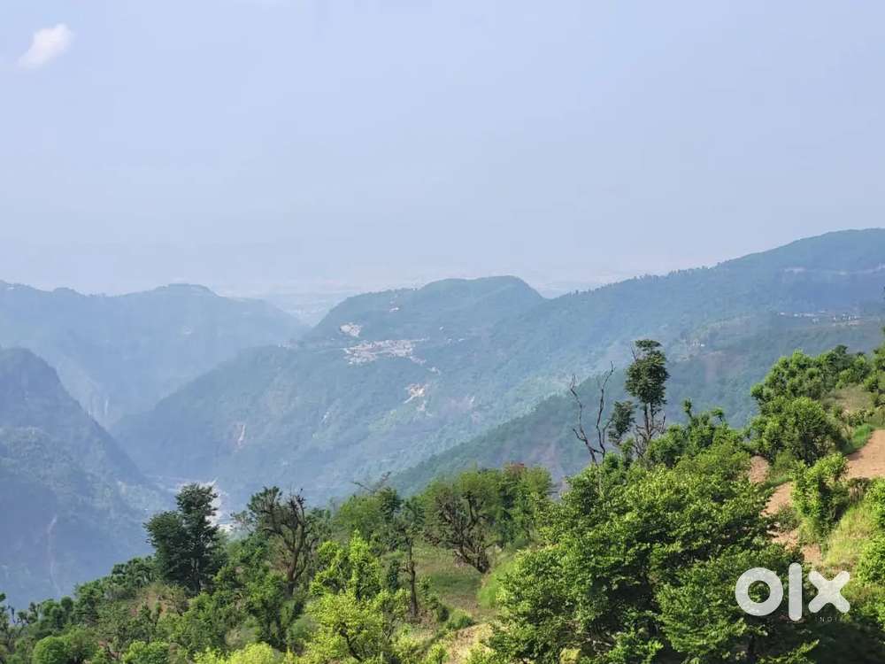 5 bigha Land available for sale in sarona