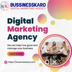 Digital marketer + Shopify devloper+ Graphic designer