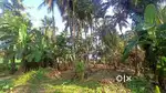 86 Cent Residential Plot for Sale in Pazhunnana – Main Road Access
