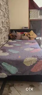 Need a female partner I am also female