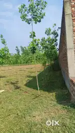 Daharadun se 25 km dehli daharadun rod 5 bhigh jamnin