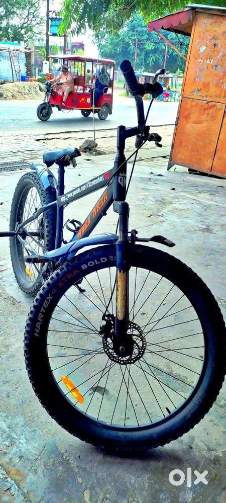 Best cycle for stunt