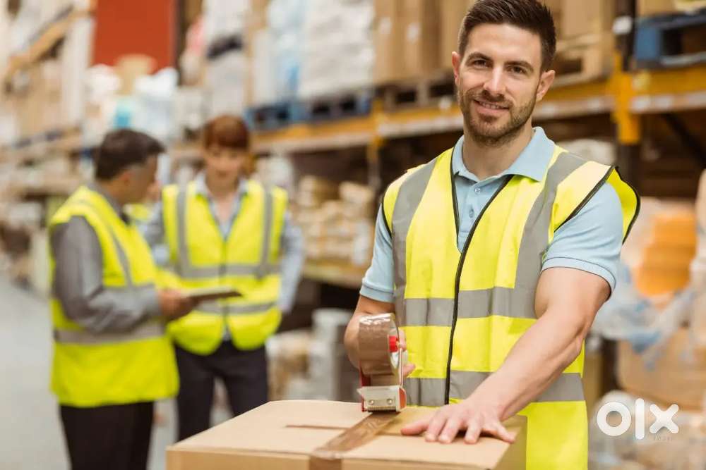 Blinkit warehouse assistant