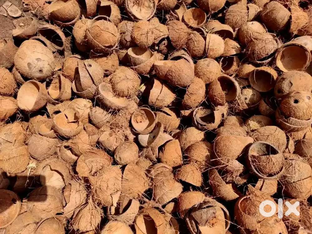 Coconut Shell - Chiratta