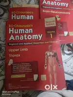 Bd chaurasia human anatomy