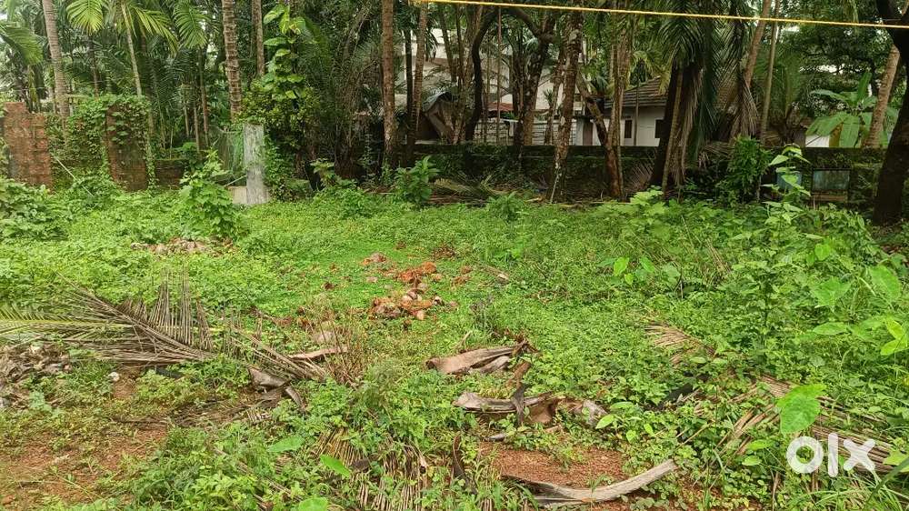 6.25 Cents for Sale, Good residential area