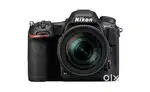Nikon D500 + Nikkor 200-500MM Lens
