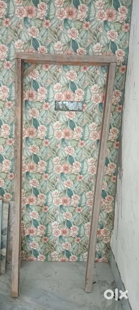 Plywood door with wooden frame