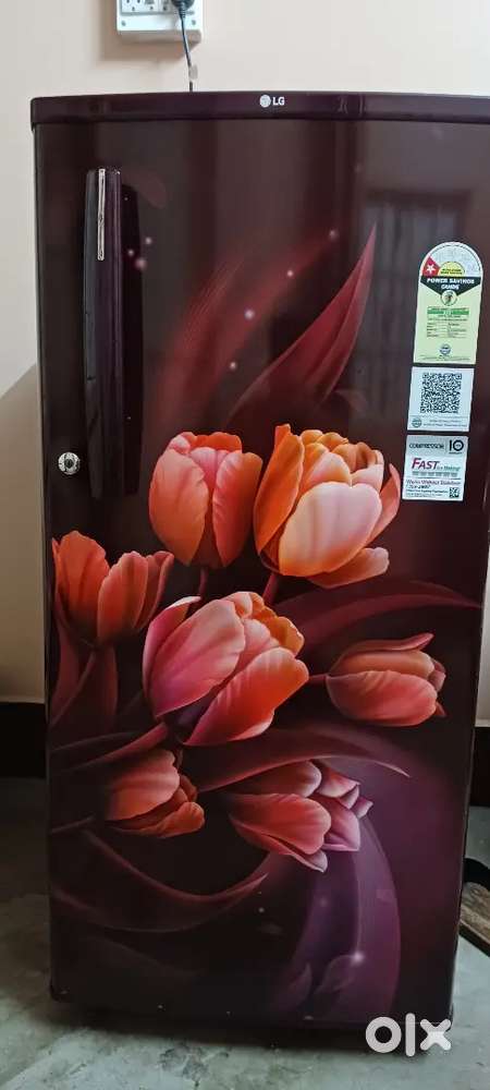 185 Ltr LG Refrigerator