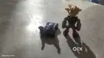 Batwheel car and boy toy