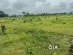 1 acre damar road sa lagi hui near mahoba road to chauki