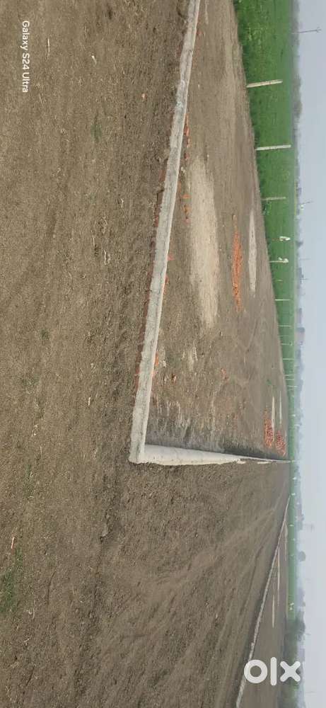 Delhi World Public school के पास