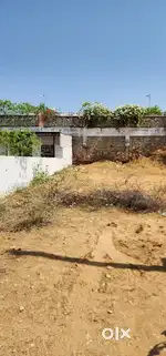 1 बीघा कृषि जमीन @Bagru