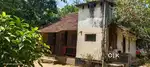 Aluva kadungalloor tar road frondage 20 cent old house