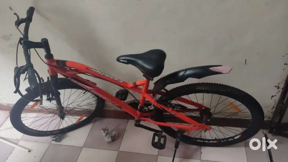 Red bycycle