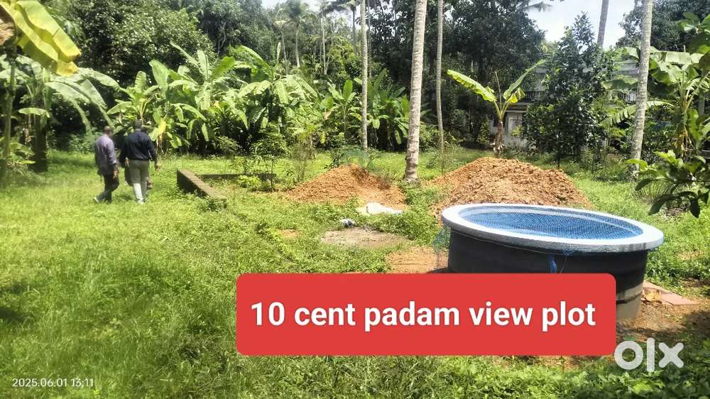 10 cent padam view house plot for sale chottanikkara Eruvely Thalakode