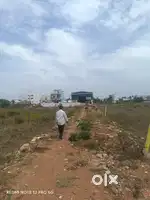 TAMBARAM MUDICHUR NEAR APPROVED LAND