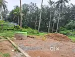 Residential plot near chottanikkara ernakulam