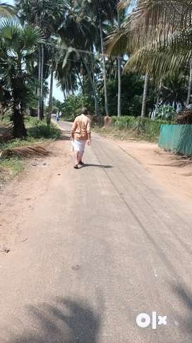 2 Acer coconut farm with bore well  thar road base palakkad velamthava
