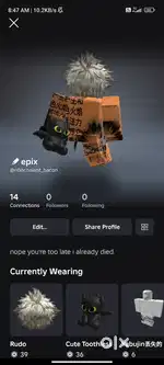 Roblox Decent account