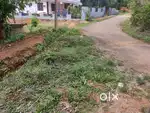 പയ്യമ്പള്ളിയിൽ 10 സെന്റ് സ്ഥലം വില്പനക്ക്