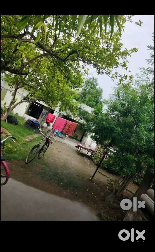 1BHK working bachelor only