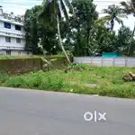 Aluva alangad commercial land,3cent
