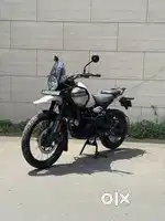 ONLY 11 MONTHS OLD HIMALAYAN 450