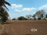 Agri/commercial land