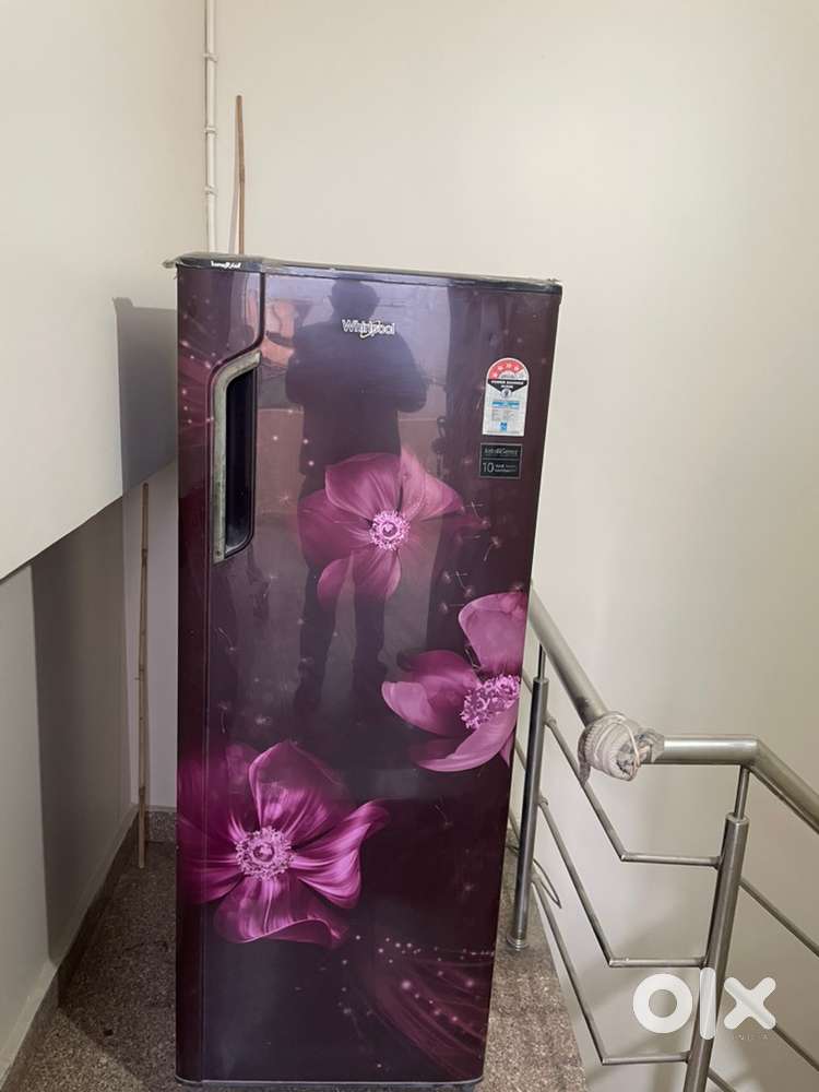 Single door fridge