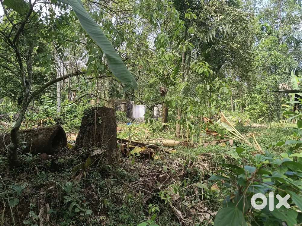 Kadathy near 30 cent houseplot 1.30 lak per cent