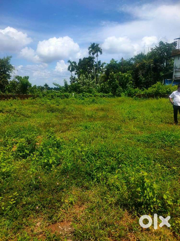 20 Cent Residencial Land For Sale At Eachur, Kannur (Nz)