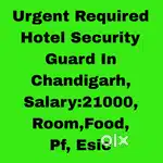 Hotel Security Guard Job chandigarh