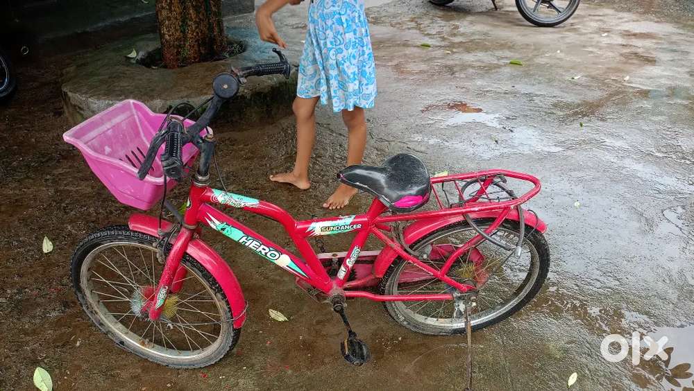 Pink cycle
