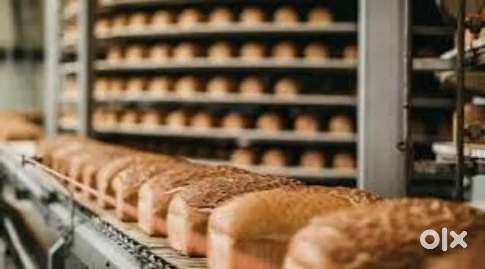 Wanted male/female packing staffs for bread making factory
