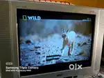 Onida TV (oxygen)