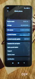 Ram 8+4 memory 256