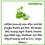 Marriage beauro assistant