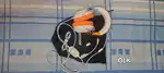 Armor Headset