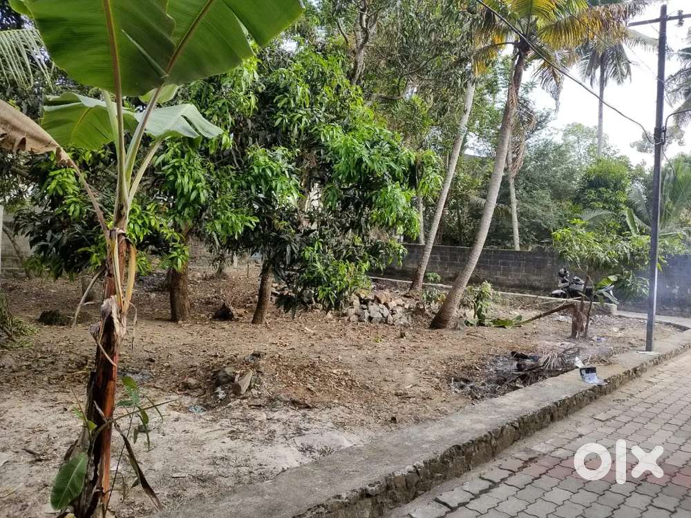 plot for sale near kaimanam junction Direct deal