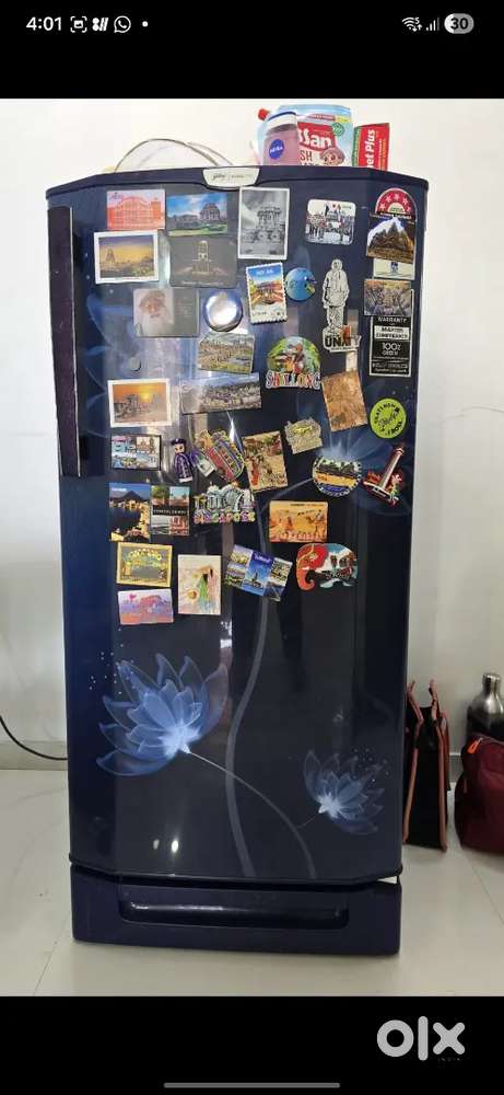Godreg Edge Pro fridge