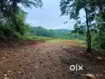2 acr beautiful land for sale in balehonur