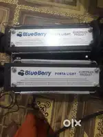 Blue berry porta lights