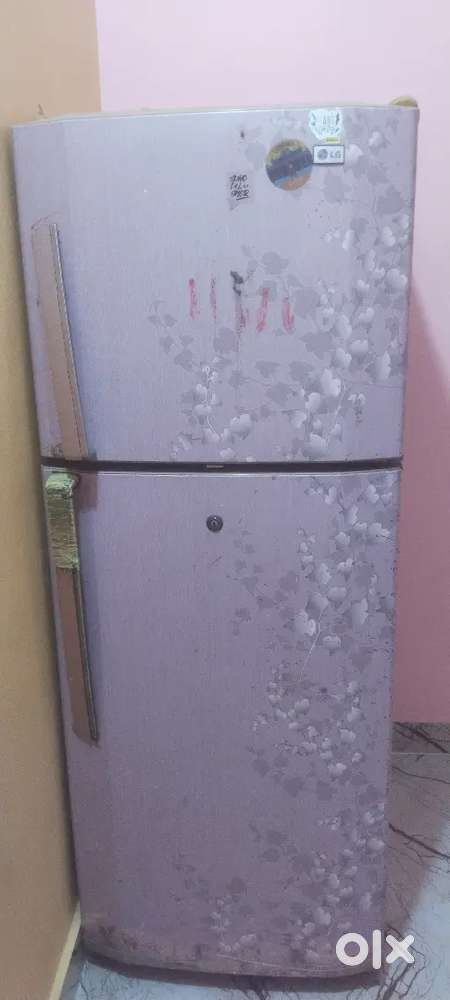 LG fridge double door